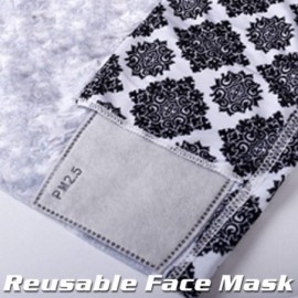 Balaclavas Bandanas Gaiter Carbon Filters Outdoors - 2pcs Neck Gaiter+10pcs Filter-05 - CK198N4XUHU $29.51