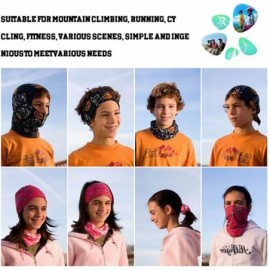 Balaclavas Headwear-Magic Scarf-Neck Gaiter-Bandana Mask-Face Cover-Neck Balaclava and Sweatband for Hiking-Fishing-Running -...