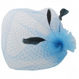 Headbands Face Veil Flower Feather Clip On Birdcage Races Fascinator Headpiece Headwear - blue - CW12MXV5U8V $9.38