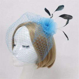 Headbands Face Veil Flower Feather Clip On Birdcage Races Fascinator Headpiece Headwear - blue - CW12MXV5U8V $9.38