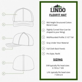 Baseball Caps Flexfit Pro Style Hat - The Great Outdoors - Gray - CF182XY0I3K $19.91