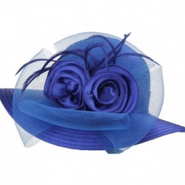 Sun Hats Women's Organza Wide Brim Floral Ribbon Kentucky Derby Church Dress Sun Hat - 2 Style-blue - CD183W2AGEH $25.38
