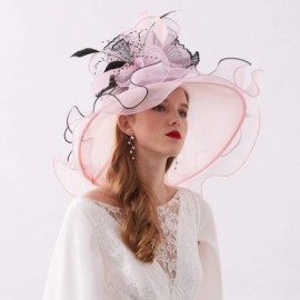 Sun Hats Women's Organza Kentucky Derby Tea Party Hat - Design 3 - Light Pink - C618T6YZ9CG $11.54