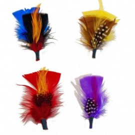 Fedoras Hat Feather Packs - Assorted Men's Fedora Feathers Bold Colors Flight Feathers - Assorted (M Pack) - CC194I5MSEW $8.38