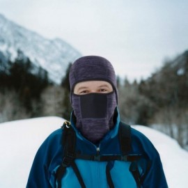 Balaclavas Winter Balaclava - Fleece Motorcycle Skull Full Face Mask Thermal Windproof Ski Head Hood for Men and Women - CK18...