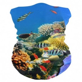 Balaclavas Balaclava Marijuana Cannabis Motorcycling Skateboarding - Tropical Fish Coral Reef Underwater - C41932CIEMS $15.87