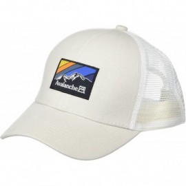 Baseball Caps Men's Mesh Trucker Hat with a Woven Label Front - Grey - CQ18DO7SKNG $12.88