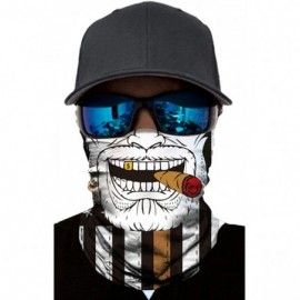 Balaclavas Bandana Face Mask Neck Gaiter- Cool Unisex Scarf Mask Tube Multifunctional Headwear- Buff Face Mask - CT1987SA6LS ...