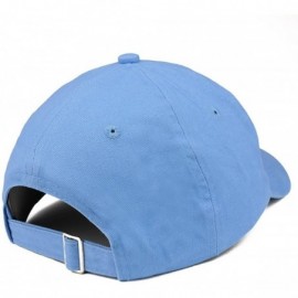 Baseball Caps Established 1944 Embroidered 76th Birthday Gift Soft Crown Cotton Cap - Carolina Blue - CH180L7O6SW $16.72